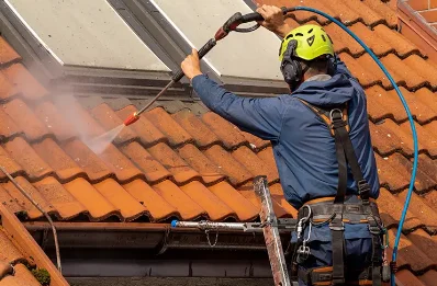 Démoussage et hydrofuge de toiture au Fieu